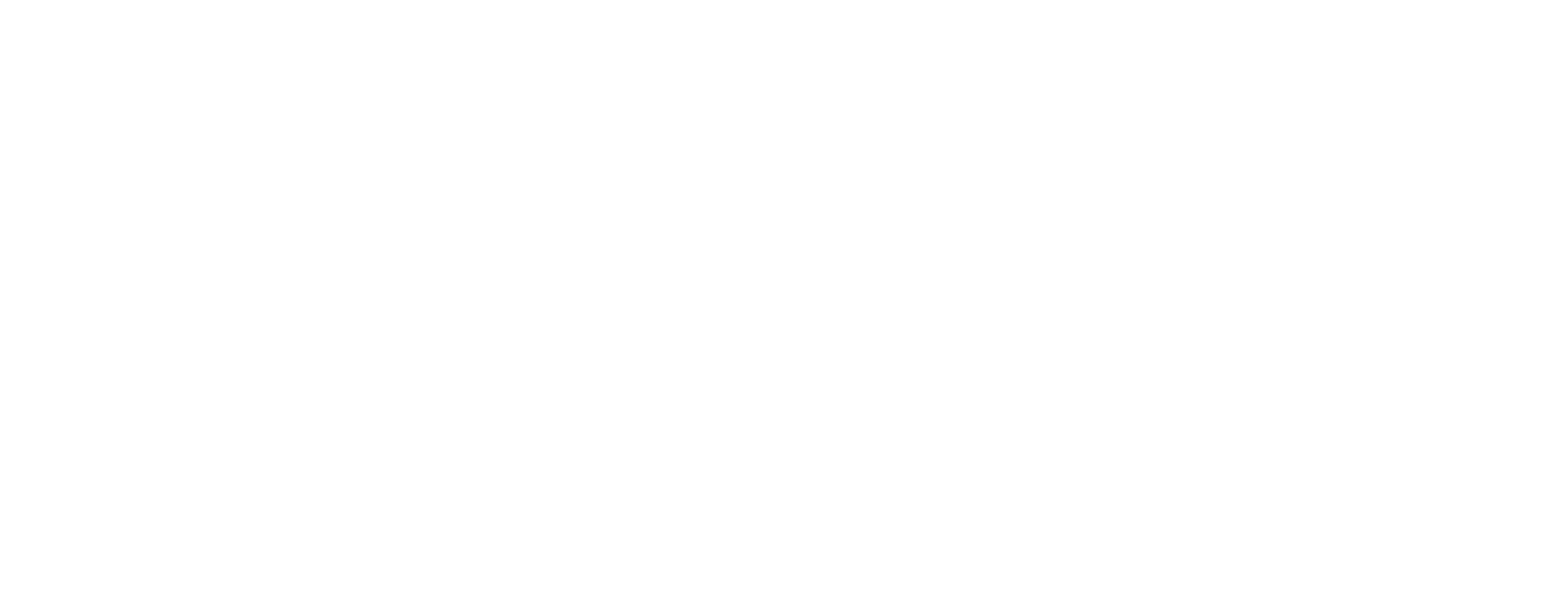 LiteLinx Fiber